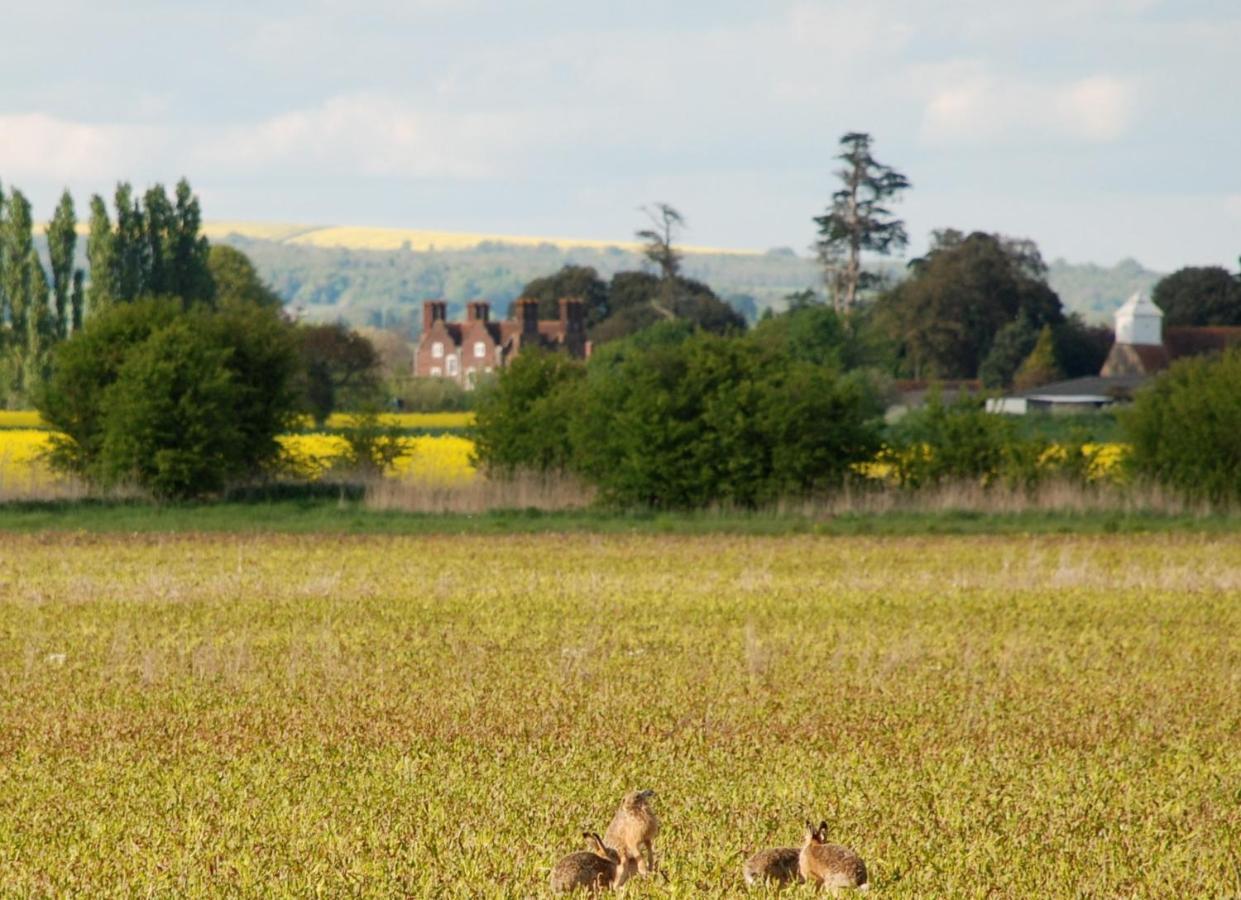 Barnham Court Farm Villa Esterno foto